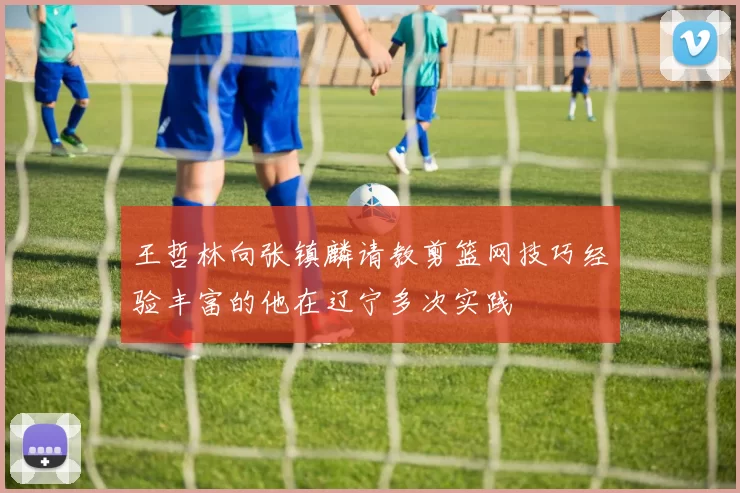 王哲林向张镇麟请教剪篮网技巧经验丰富的他在辽宁多次实践